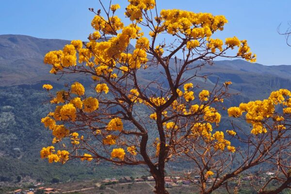 Setembro Amarelo chegou e, com ele, a necessidade de conscientização sobre o suicídio!