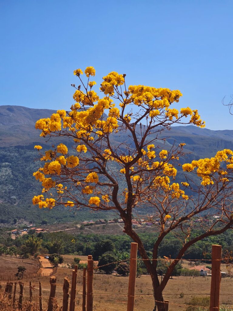 Setembro Amarelo chegou e, com ele, a necessidade de conscientização sobre o suicídio!